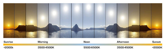 ¿Qué temperatura de color debo debes elegir?