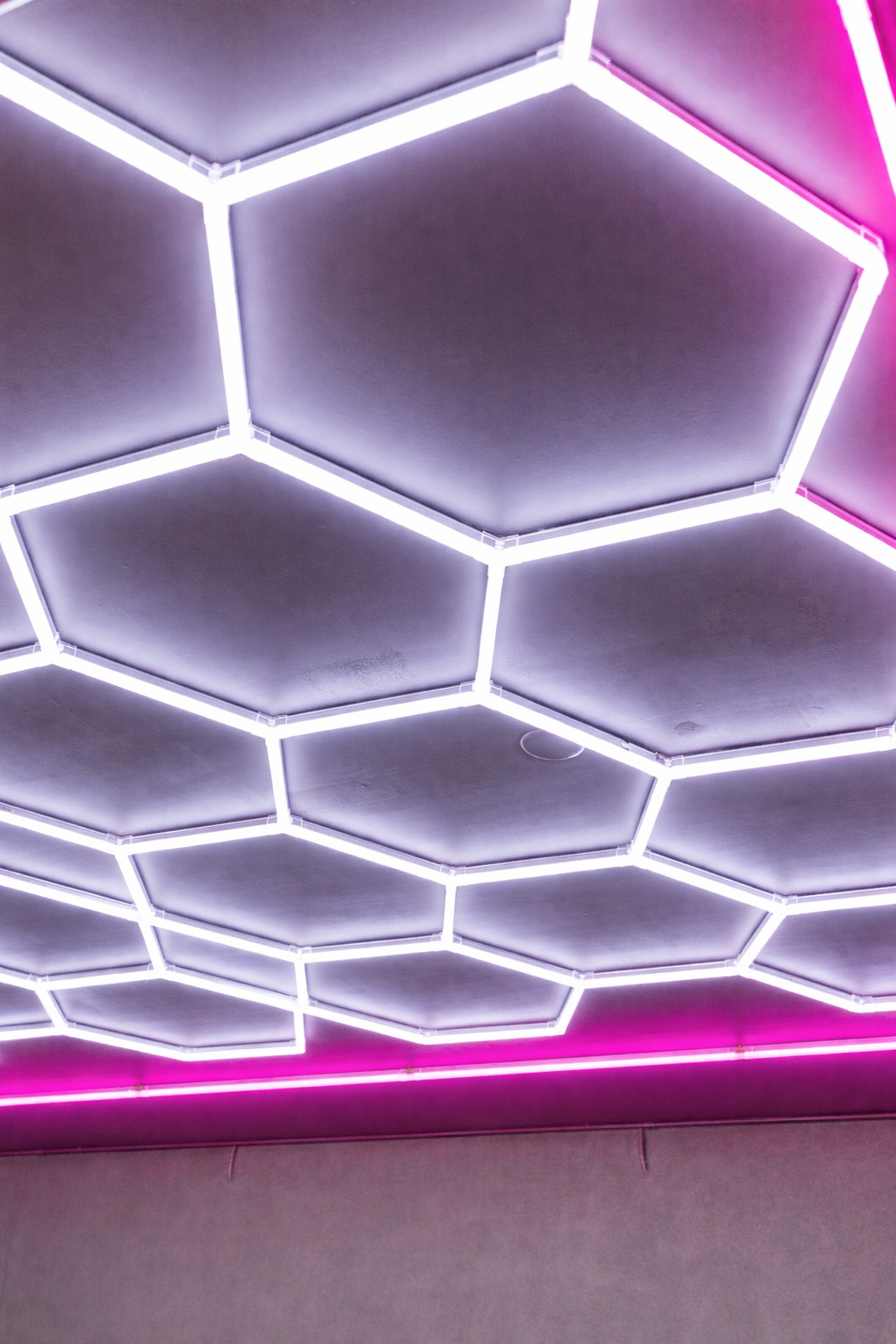 Tubo V5 LED 16W 120cm 6500K